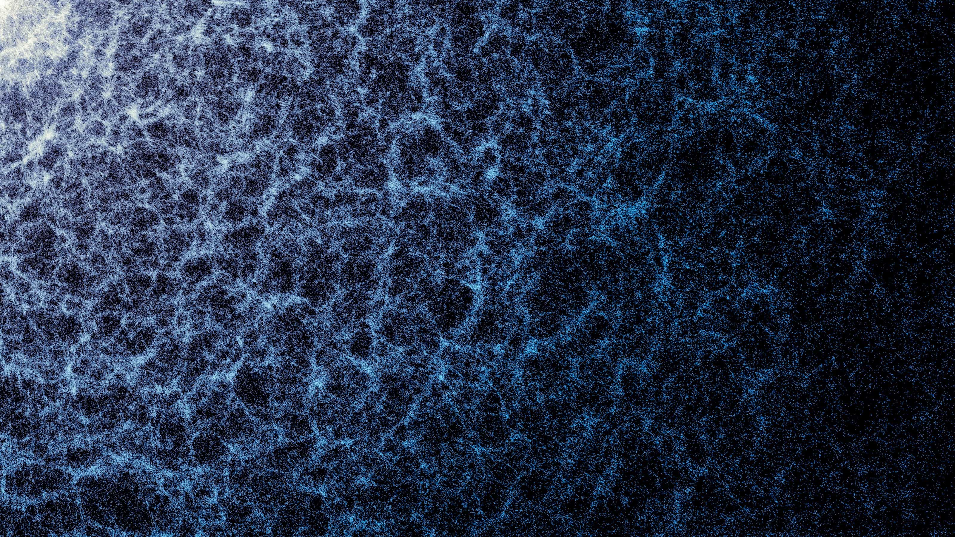 A slice of the DESI galaxy map: countless blue dots, each a galaxy, clump into a web of filaments separated by dark empty voids.