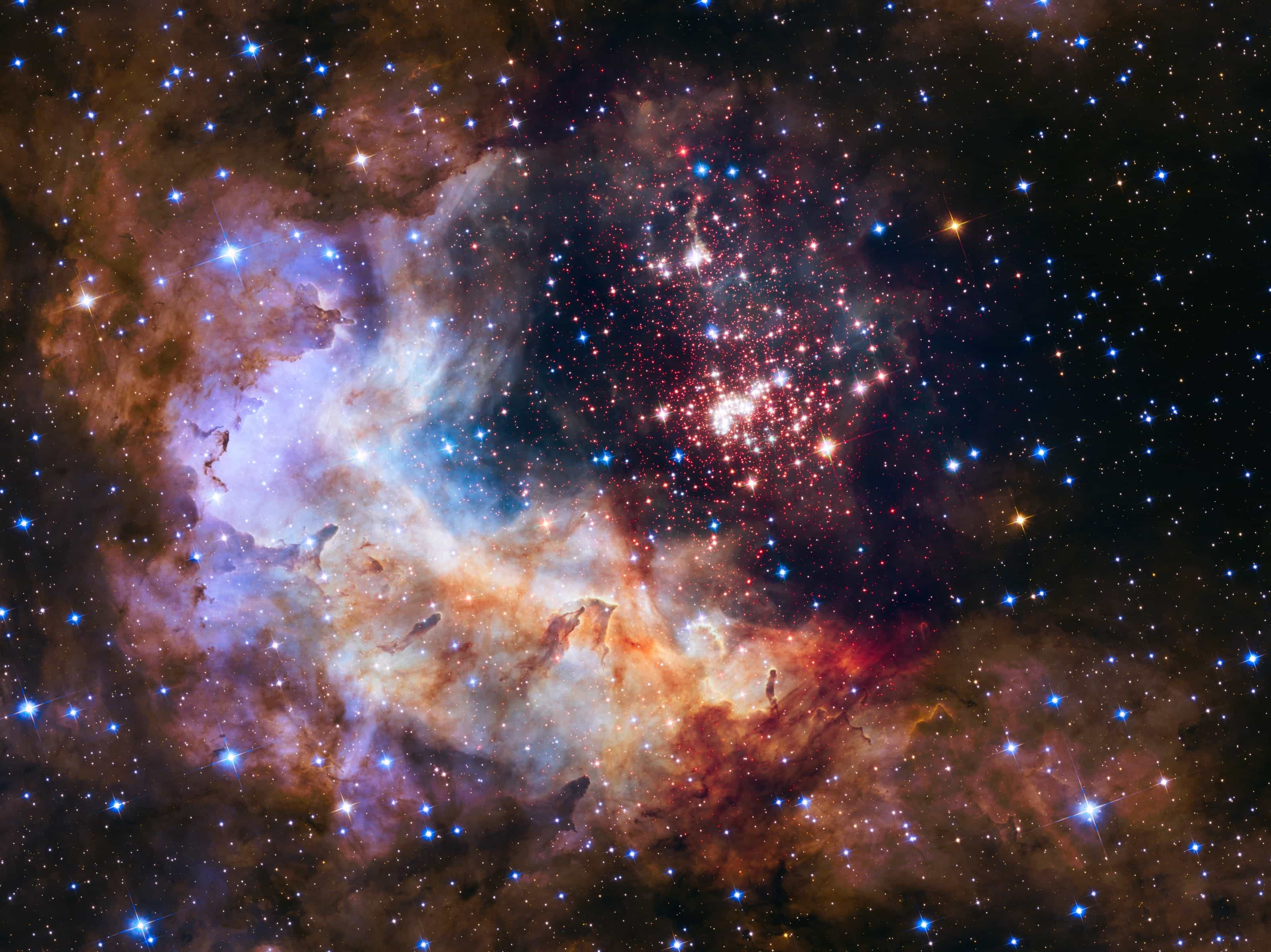 Hubble image of the young star cluster Westerlund 2: a sparkling knot of stars nestled in glowing clouds of pink, blue and brown gas and dust.