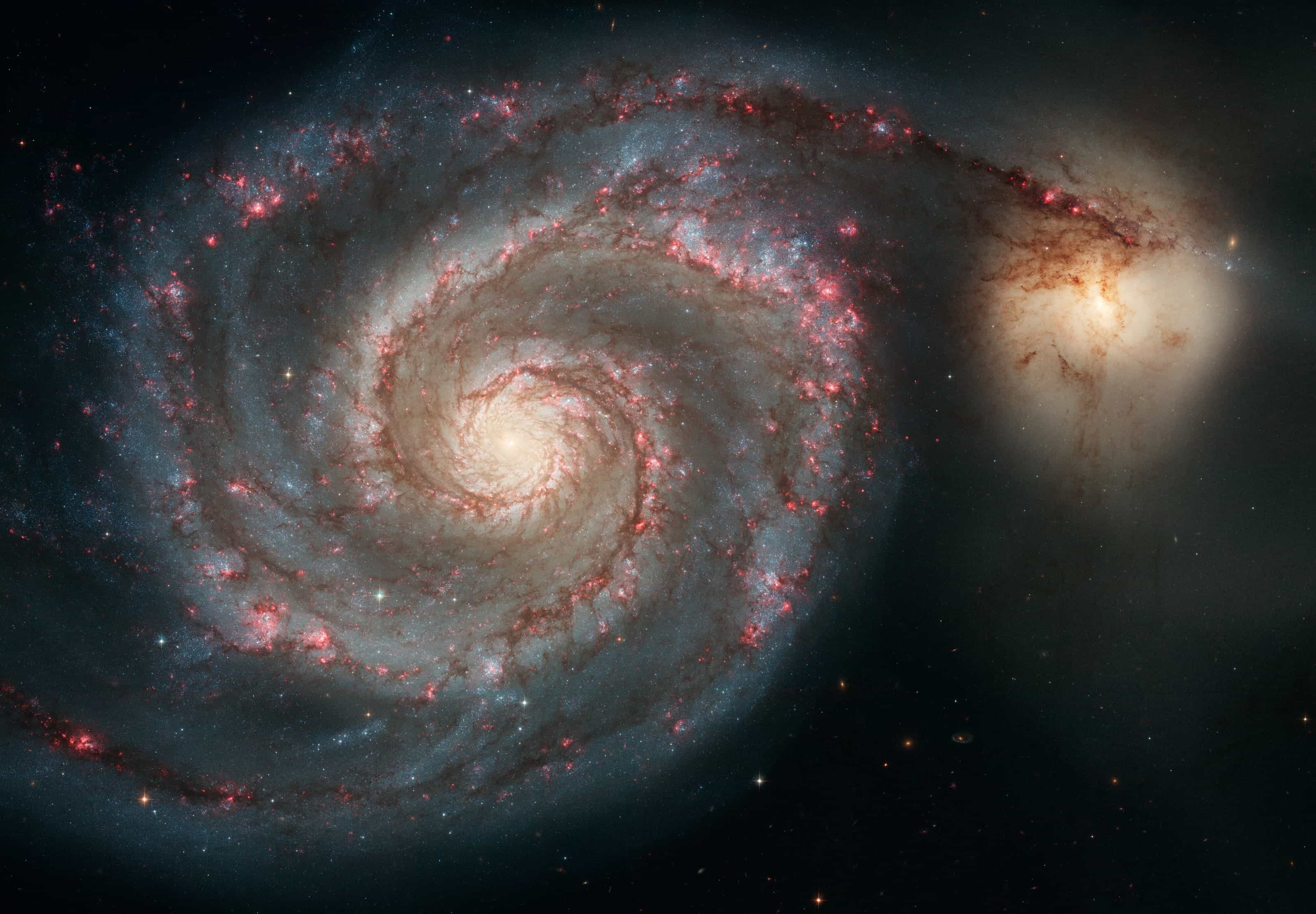 Hubble image of the Whirlpool Galaxy, a face-on spiral with dusty arms dotted with pink star-forming regions, linked by one arm to a smaller yellowish companion galaxy at right.